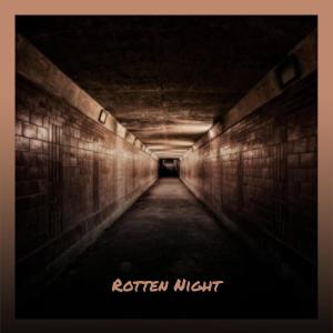 Various的专辑Rotten Night