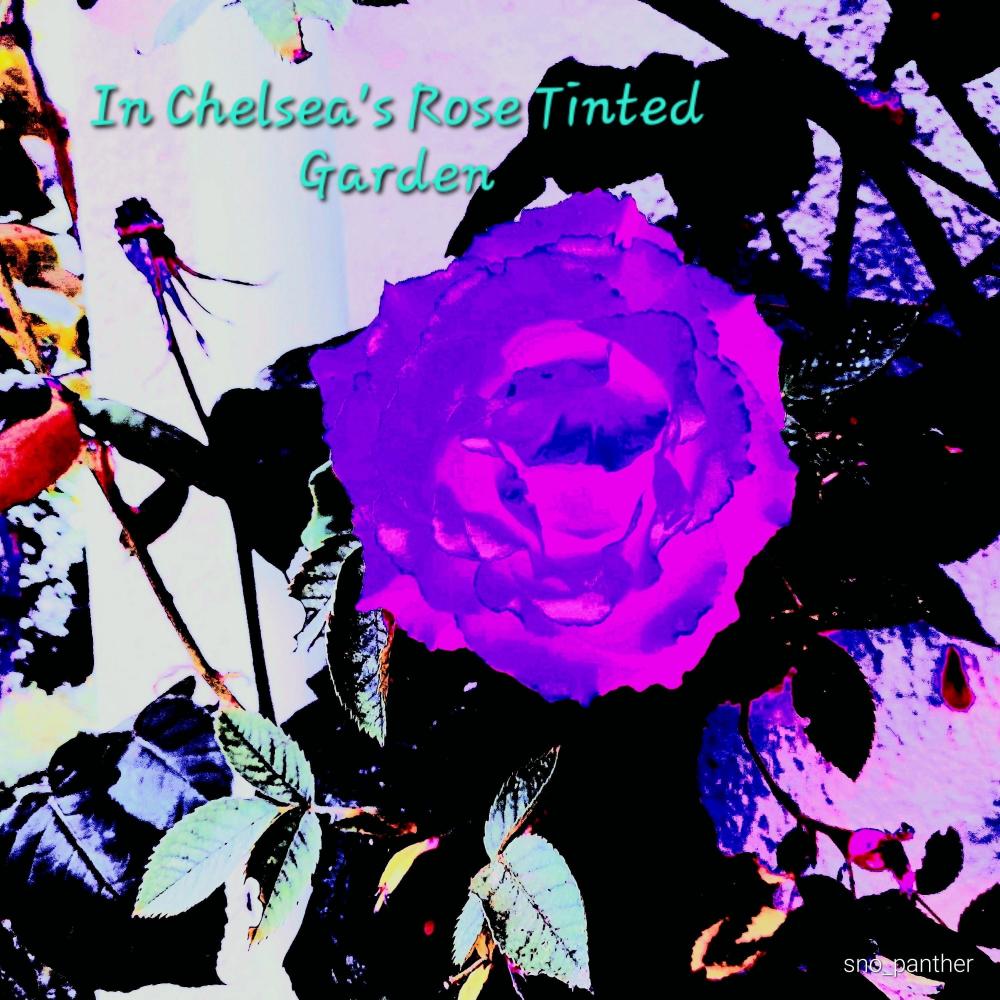 Purple Flower's Are Overdue
