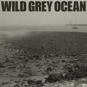 Sam Fender的專輯Wild Grey Ocean (Explicit)