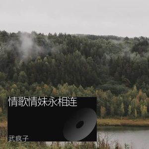 Listen to 情歌情妹永相连 (完整版) song with lyrics from 武疯子