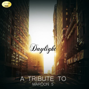 ดาวน์โหลดและฟังเพลง She Will Be Loved พร้อมเนื้อเพลงจาก Ameritz - Tribute