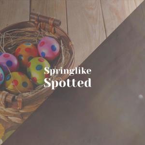 Album Springlike Spotted from Various