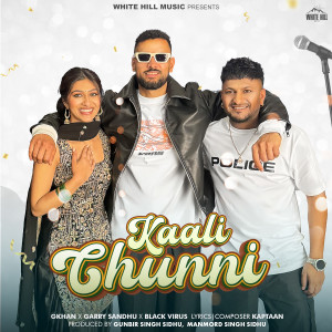 Album Kaali Chunni from Black Virus