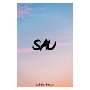 Album Dímelo (SAU Remix) from Little Bryan