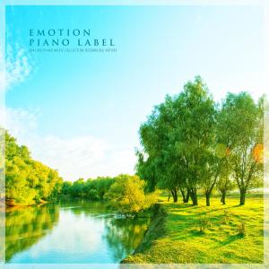 Various Artists的专辑Healing Piano Music Collection Resembling Nature (Nature Ver.)