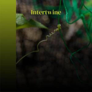 Various的专辑Intertwine