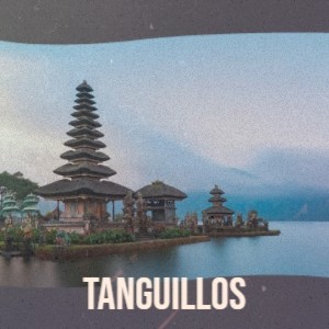 ดาวน์โหลดและฟังเพลง Tanguillos พร้อมเนื้อเพลงจาก Pepe Romero