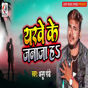 Album Yarabe Ke Janaja Ha from Anup Pandey
