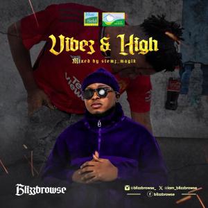 Blizzbrowse的專輯Vibez & high