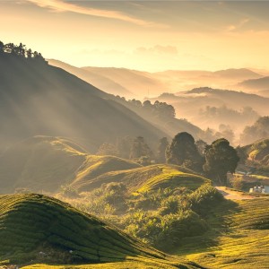 Dengarkan lagu Breeze nyanyian Schlaf Guru dengan lirik