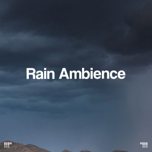 Album "!!! Rain Ambience !!!" from Thunderstorm Sleep