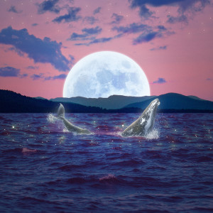 Dengarkan 클럽 (Feat. Mone_Kash, 네드(Nedd)) Club (Feat. Mone_Kash, Nedd) lagu dari WHALEWAVESVIBE dengan lirik