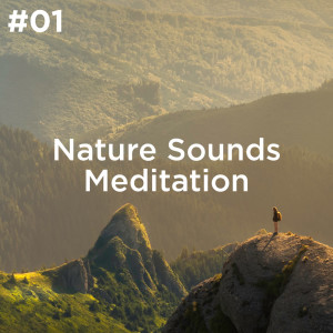 收聽Sleep Sounds of Nature的Baby Sleep Music歌詞歌曲
