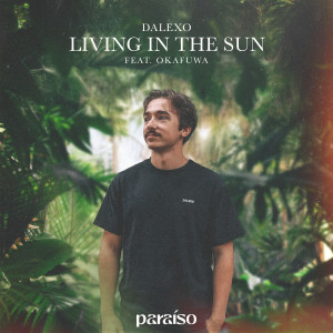 ดาวน์โหลดและฟังเพลง Living In The Sun (feat. okafuwa) พร้อมเนื้อเพลงจาก DALEXO