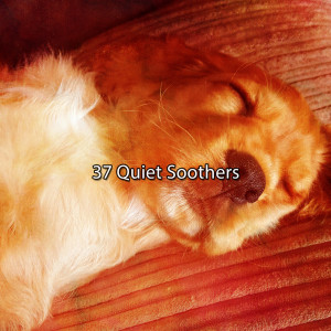 37 Quiet Soothers