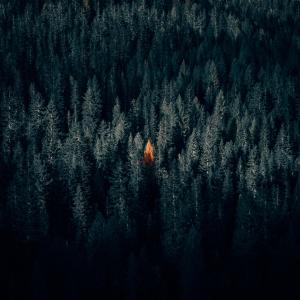 Album Un mot from Jerome Queriaud