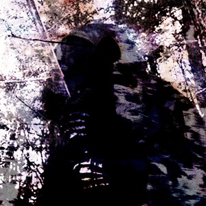 收听skadi853的Wisdoom歌词歌曲