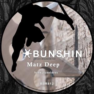 ดาวน์โหลดและฟังเพลง Schwarznoldens พร้อมเนื้อเพลงจาก Matz Deep