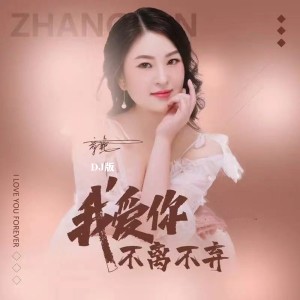 Listen to 我爱你不离不弃 （DJlive合唱版） (完整版) song with lyrics from 章芮晗
