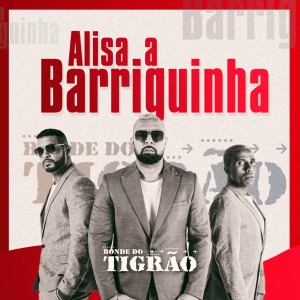 ดาวน์โหลดและฟังเพลง Alisa a Barriguinha พร้อมเนื้อเพลงจาก Bonde do Tigrao