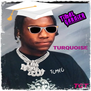 Timal Garnier的專輯TURQUOISE TGT TOME 6