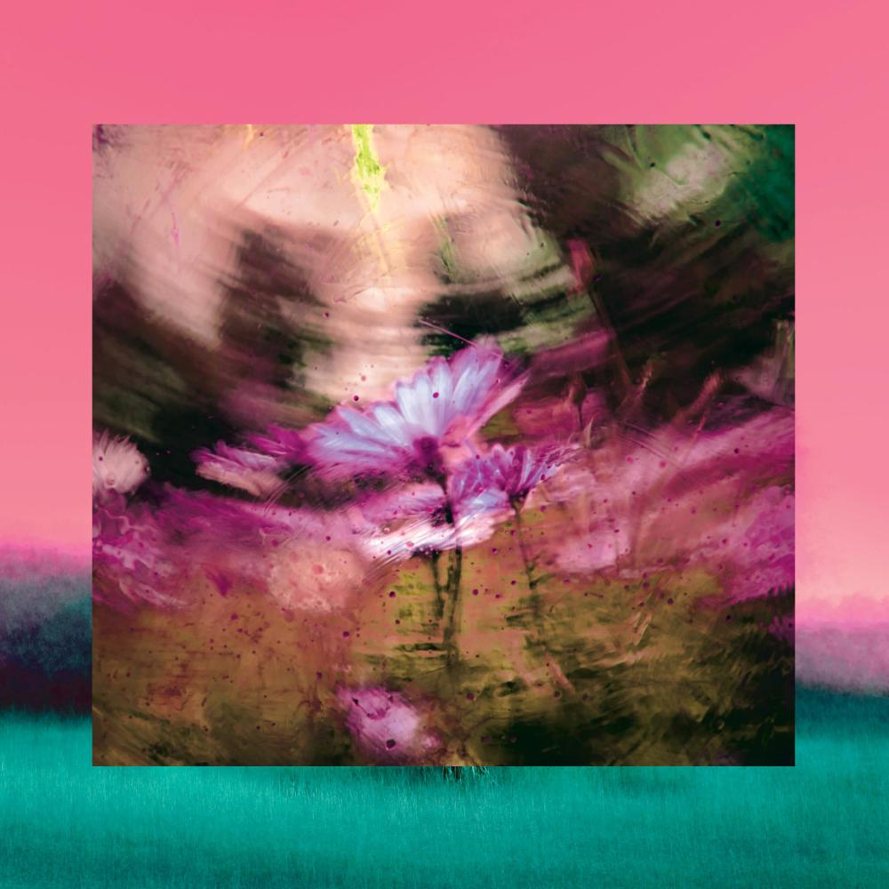 Blown Up Roses