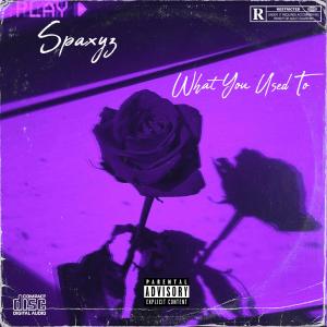 收聽Spaxyz的What You Used To (Explicit)歌詞歌曲