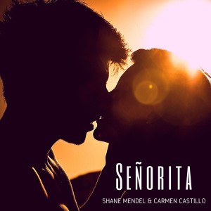 Listen to Señorita song with lyrics from Shane Mendel