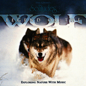 ดาวน์โหลดและฟังเพลง Play Fight พร้อมเนื้อเพลงจาก Dan Gibson's Solitudes