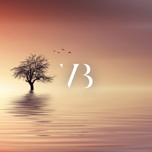 Listen to Solace song with lyrics from Vincent Brahn