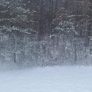 收聽Eunoia的silhouette歌詞歌曲