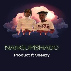 Dengarkan NangUmshado (feat. Sneezy) lagu dari Product dengan lirik