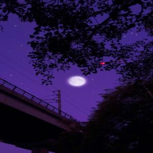 Sojkid Dawe的專輯Nighfall (Produce 48 & Produce 101 Remix) (Explicit)