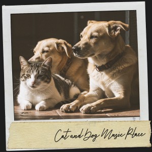 Music For Cats的專輯Cat and Dog Music Place: Pet Kingdom