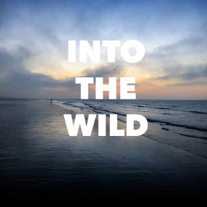 ดาวน์โหลดและฟังเพลง Into the Wild พร้อมเนื้อเพลงจาก Julien Brocal