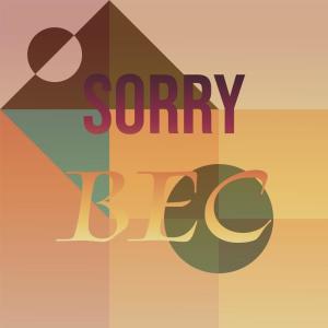 Listen to Sorry Bec song with lyrics from Emin Desi