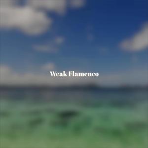 Various的专辑Weak Flamenco