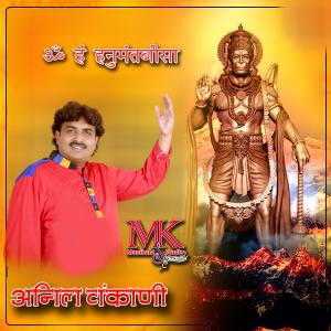 Listen to Om Ham Hanumant Bisa song with lyrics from Anil Vankani