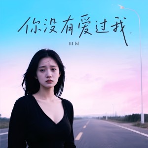 Listen to 你没有爱过我（DJ加速版） (完整版) song with lyrics from 田园