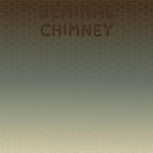 Album Seminal Chimney from Various Artists