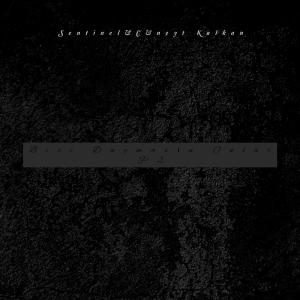 อัลบัม Bizi Duymasın Onlar P2 (feat. Cüneyt Kalkan) [Explicit] ศิลปิน Sentinel