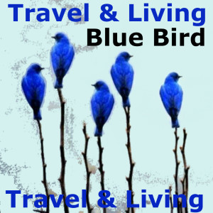 Listen to Blue Bird song with lyrics from Travel