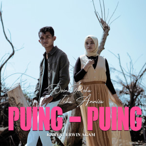 Listen to Puing - Puing song with lyrics from Dosni Roha
