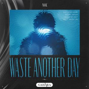 Dengarkan lagu Waste Another Day nyanyian NAAC dengan lirik