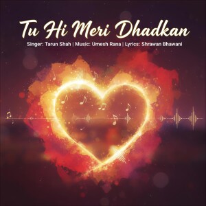 Album Tu Hi Meri Dhadkan from 