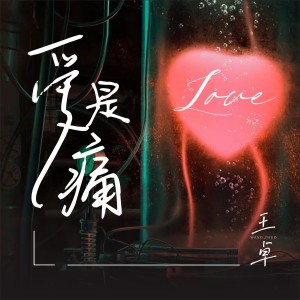 Album 爱是痛 from 