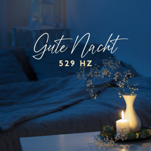 Listen to Verträumter Nachthimmel song with lyrics from Einschlafen Akademie