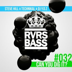 Steve Hill的專輯Can You Dig It?