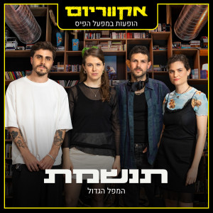 Listen to המפל הגדול (הופעות במפעל הפיס) song with lyrics from תנשמת