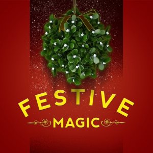 ดาวน์โหลดและฟังเพลง White Christmas พร้อมเนื้อเพลงจาก Canciones De Navidad